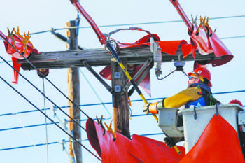 Exelon Corp. says the proposed merger is endorsed by D.C. government and many others and they scoffed at environmentalists who believe the deal isn't favorable to the city. (Courtesy photo