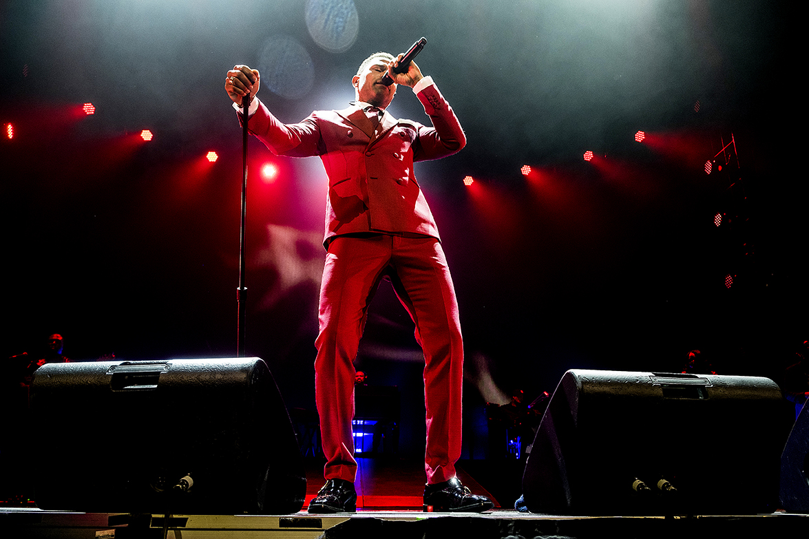 Maxwell (Courtesy of Christian Hansen)