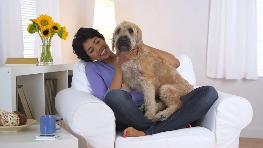Experts warn about neglecting pets during the holidays.
