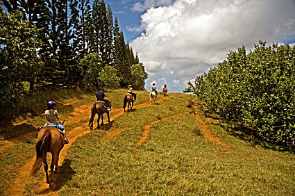 Riders enjoy the splendor of nature.