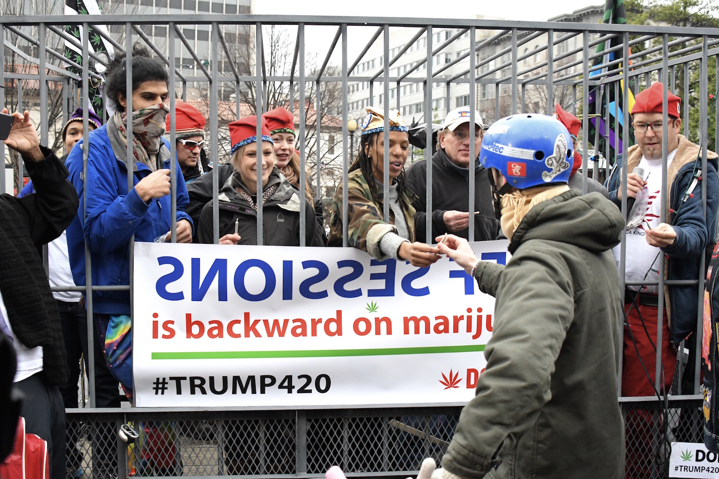Hundreds of demonstrators rally at 20th Street and Massachusetts Ave in northwest D.C. in support of federally legalizing marijuana and in protest of Sen. Jeff Sessions, newly elected President Trump's pick of attorney general, on Jan 20. (Travis Riddick/The Washington Informer)