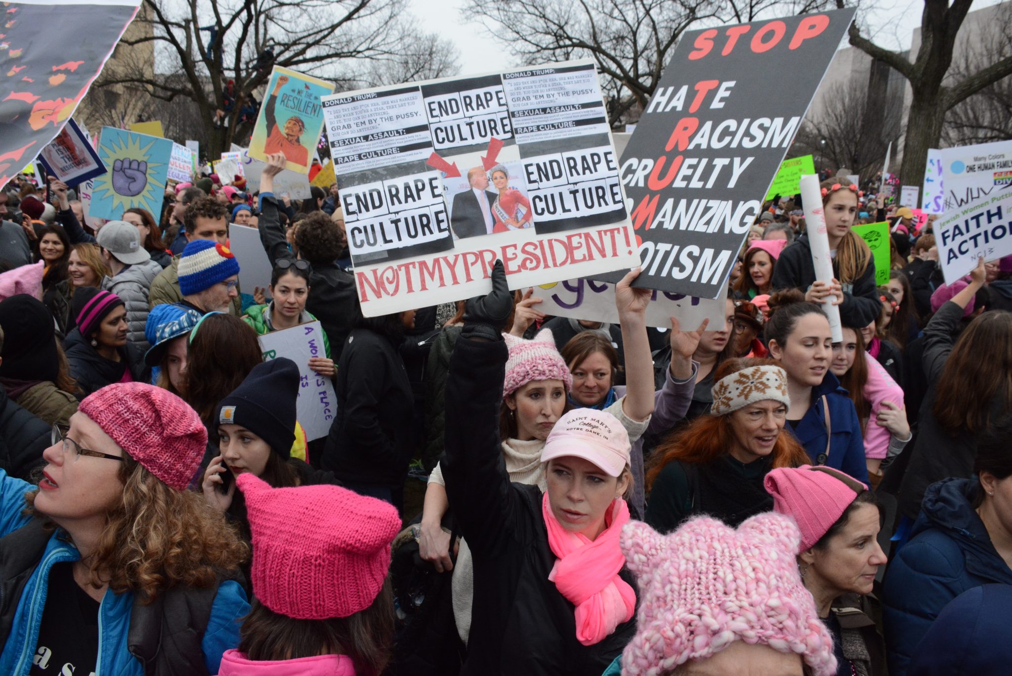 Women all over the world rang out a message demanding equality on Saturday, January 21, 2017. Over a million women showed up in Washington, D.C. /Photo by Roy Lewis