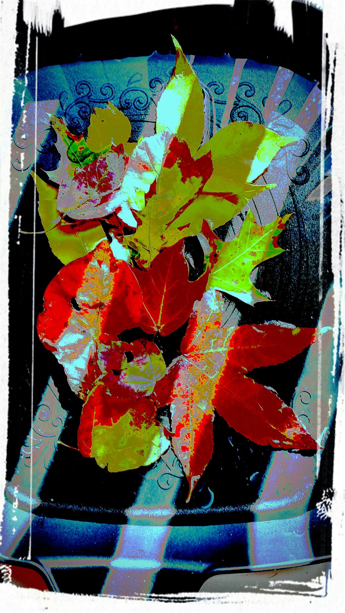 "Autumn Still Life" (2016) by Remy Aqui