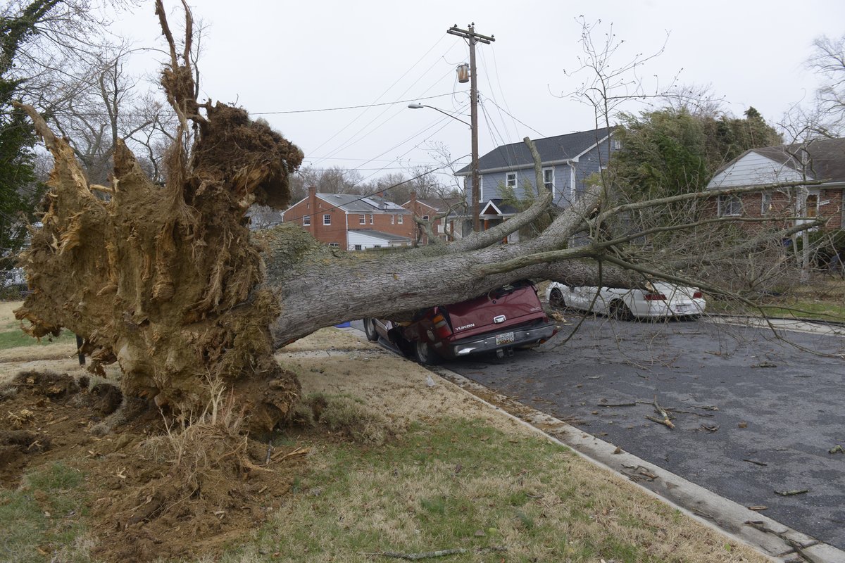 Courtesy of Pepco via Twitter