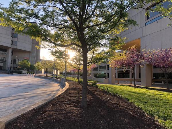 **FILE** The campus at the University of the District of Columbia is seen here (Courtesy of UDC via Facebook)