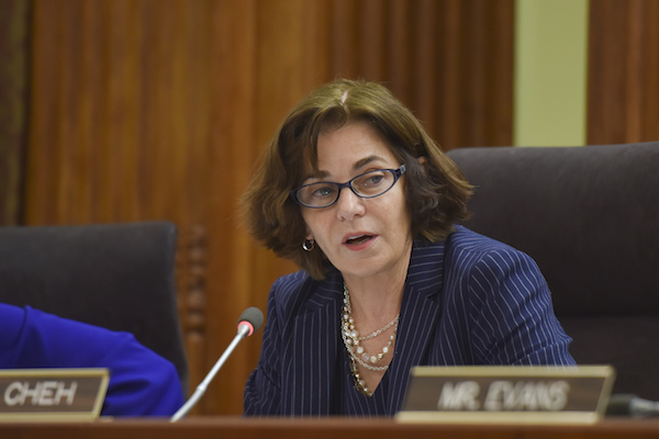 D.C. Councilwoman Mary M. Cheh speaks as the council votes to confirm Peter J. Newsham as new chief of Metropolitan Police at the Wilson Building in Washington, D.C., on Tuesday, May 2, 2017. (Photo by Jahi Chikwendiu/The Washington Post)