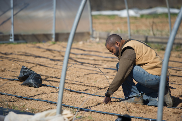 **FILE** African-American farmer examining irrigation system. (Photo by: Edwin Remsburg/VW Pics via Getty Images)