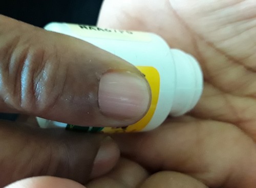 Photo by Dorothy Rowley/The Washington Informer