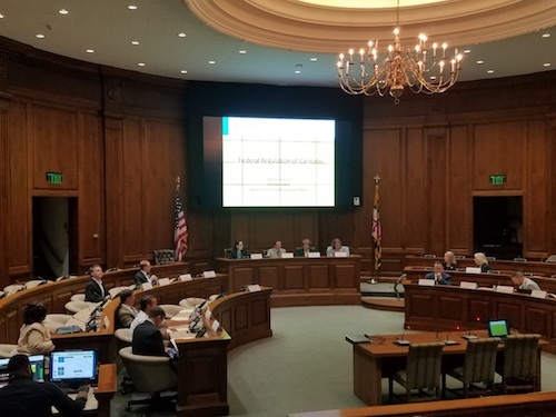 The Marijuana Legalization Workgroup holds its first session in Annapolis on June 25. (William J. Ford/The Washington Informer)