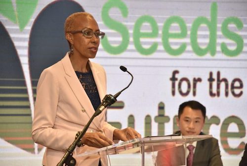 Fayval Williams, Jamaica's Minister of Science, Energy and Technology Minister, speaking at the Huawei "Seeds for the Future 2019" internship program departure ceremony at the Jamaica Pegasus Hotel in New Kingston on Aug. 22. Ten students will be embarking on a two-week internship at technology company, Huawei, in China from Sept. 4-21. (Photo by Donald De La Haye)