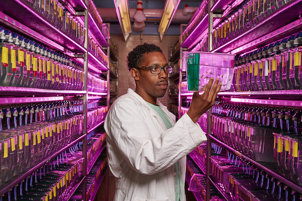 National Institutes of Health lab photo (Courtesy of NIH)