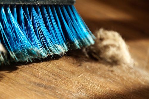 Guarding our homes against allergens that negatively affect breathing is the first step to having a healthy breathing space. (Courtesy photo)