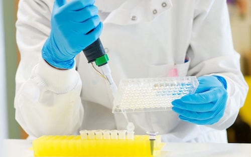 Courtesy of The Telegraph