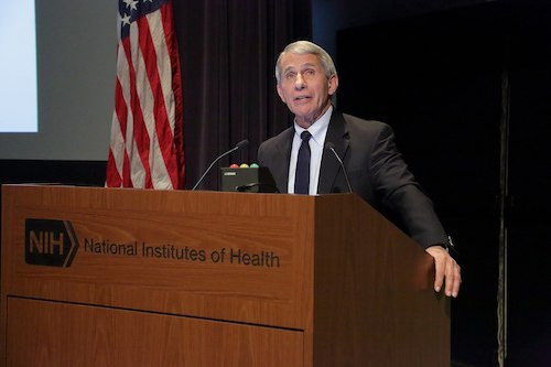 **FILE** Dr. Anthony Fauci (NIAID via Wikimedia Commons)