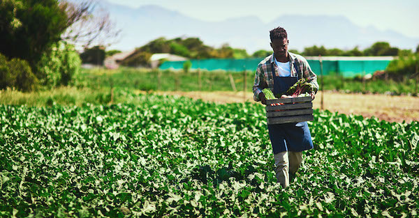 iStockphoto/NNPA