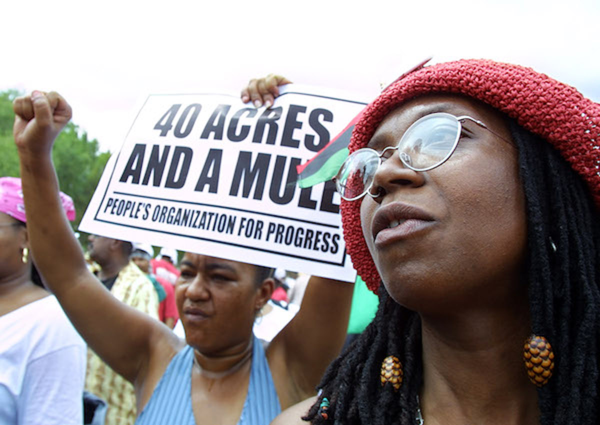 **FILE** Andrea Levy (R) from Queens, New York, joins other demonstrators for slave reparations on the National Mall August 17, 2002, in Washington, D.C. Hundreds of blacks rallied, saying it is long past time to compensate blacks for the ills of slavery. (Manny Ceneta/Getty Images)
