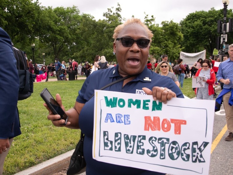 Photo courtesy of Mark Mahoney