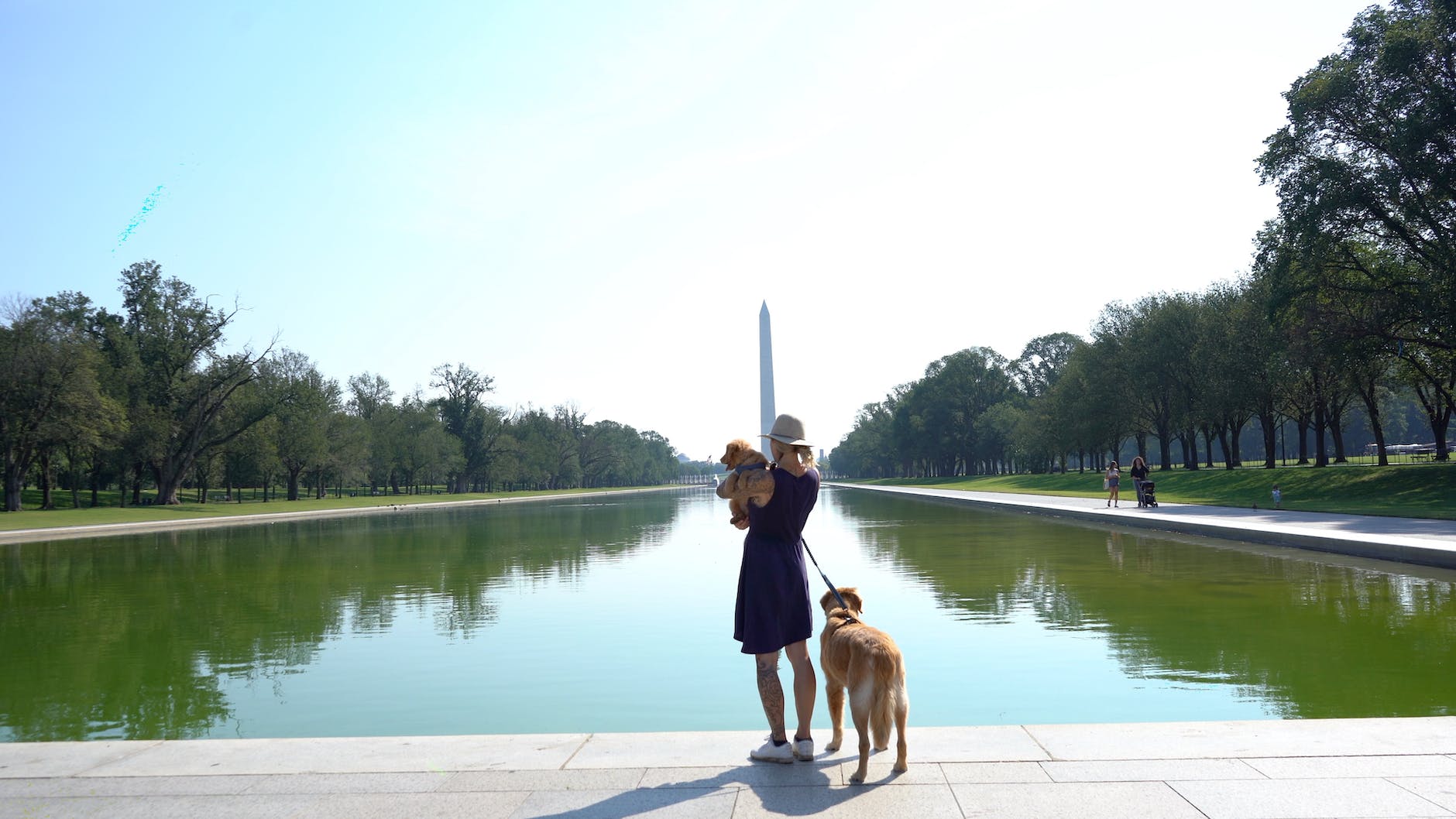 woman with dogs standing near the lincoln memorial reflecting pool