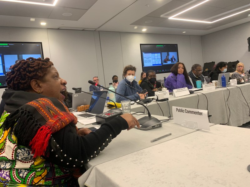 Michele Roberts, a D.C.-based environmental justice activist, was one of the last public commenters to speak at the National Environmental Justice Advisory Council’s meeting in Alexandria on Nov. 29. (Kayla Benjamin/The Washington Informer)