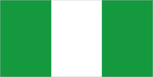 D.C.-area Nigerian Diaspora leaders spoke to The Washington Informer about issues they care about leading up to the Nigerian general elections on Feb. 25. (Courtesy photo)