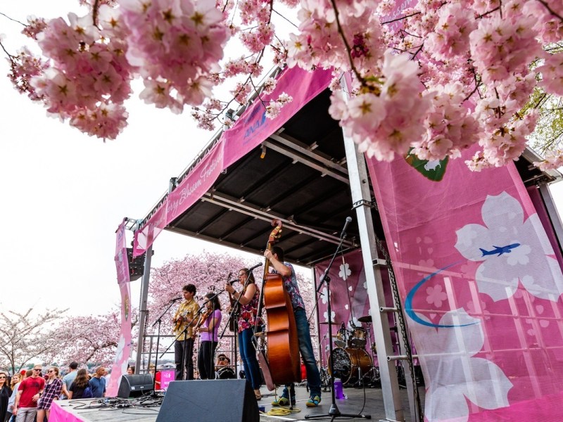 **FILE** Courtesy of Jay Snap/LaDexon Photographie via the National Cherry Blossom Festival