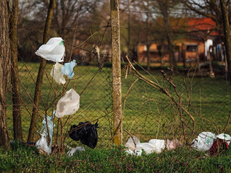 Courtesy of Ivan Radic via Flickr