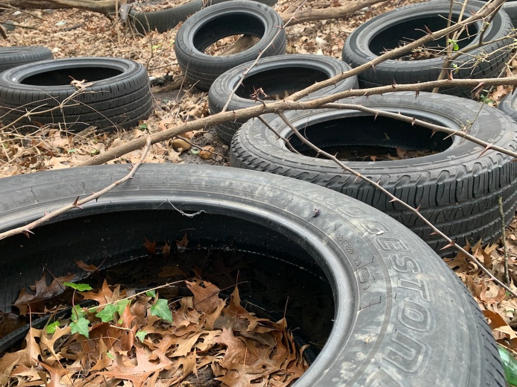 Water collects in tires by the side of I-295. Homes in Dupont Park are less than 300 feet away from this site. (Kayla Benjamin/The Washington Informer)