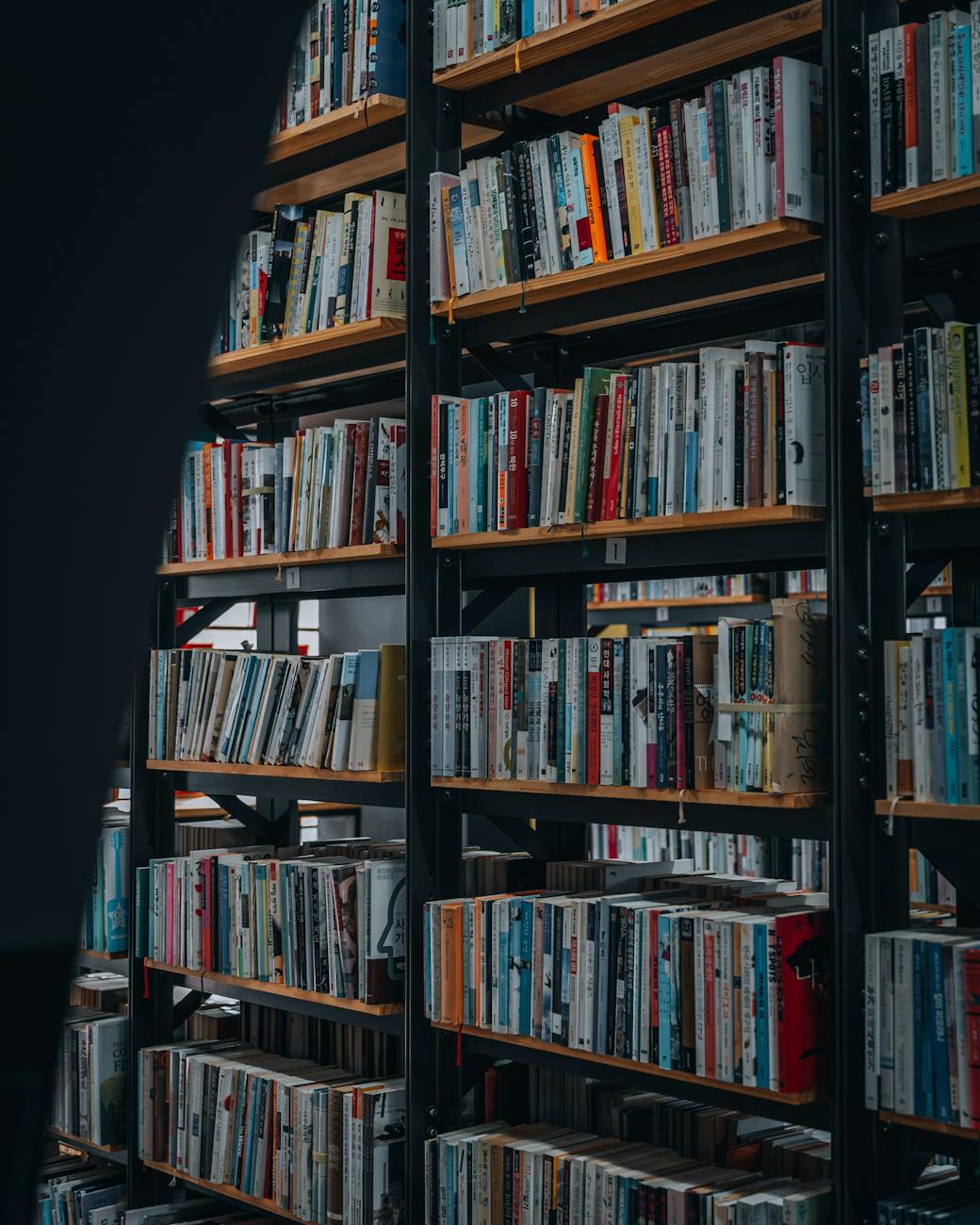 bookshelves in library interior