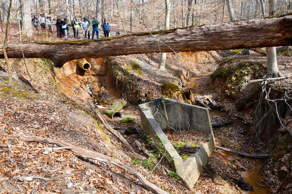 The biggest threat to the Fort Dupont stream comes from old stormwater infrastructure. Pipes like the one visible here send massive amounts of water directly into the stream, causing the stream’s banks to erode — that’s what causes the steep drop seen in this picture. That mix of sediment and stormwater flows straight to the Anacostia River. (Robert R. Roberts/The Washington Informer)
