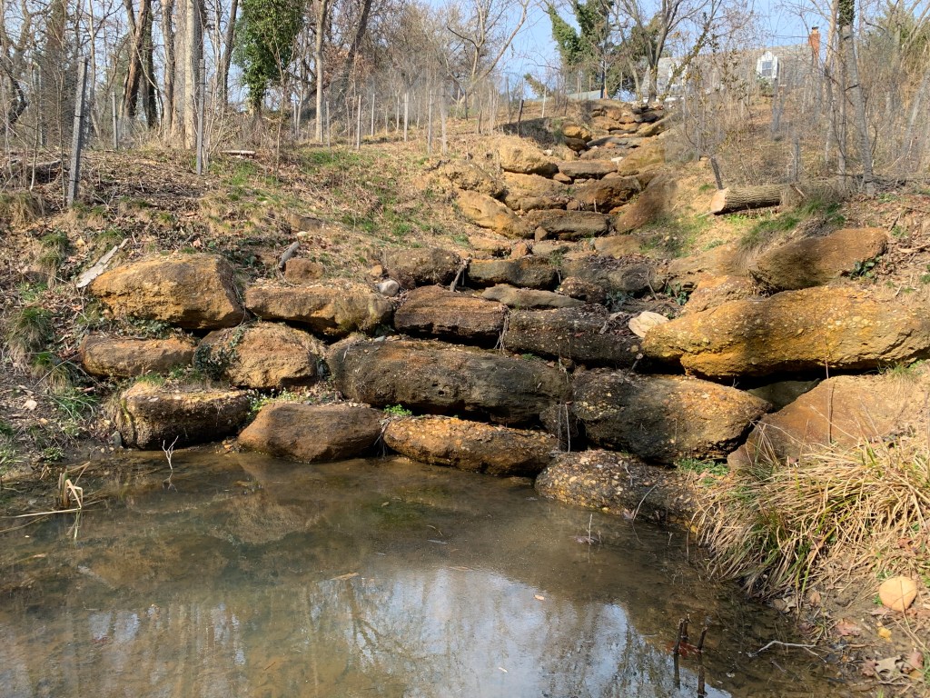 At the completed stream project by Erie Street SE and Branch Avenue SE, the restored cascading formation helps slow down the water’s flow during rain events. (Kayla Benjamin/The Washington Informer)