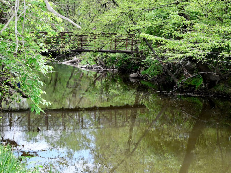 Rock Creek, as seen from Meadowbrook Local Park in Silver Spring, Maryland, where Nature Forward held a launch event April 18 for its new “State of the Streams” report (Robert R. Roberts/The Washington Informer)