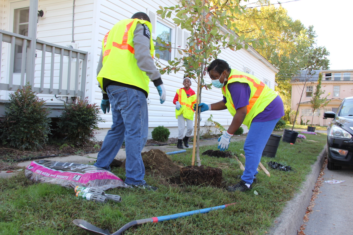 Trees planted by The Chesapeake Bay Foundation (Courtesy of CBF)