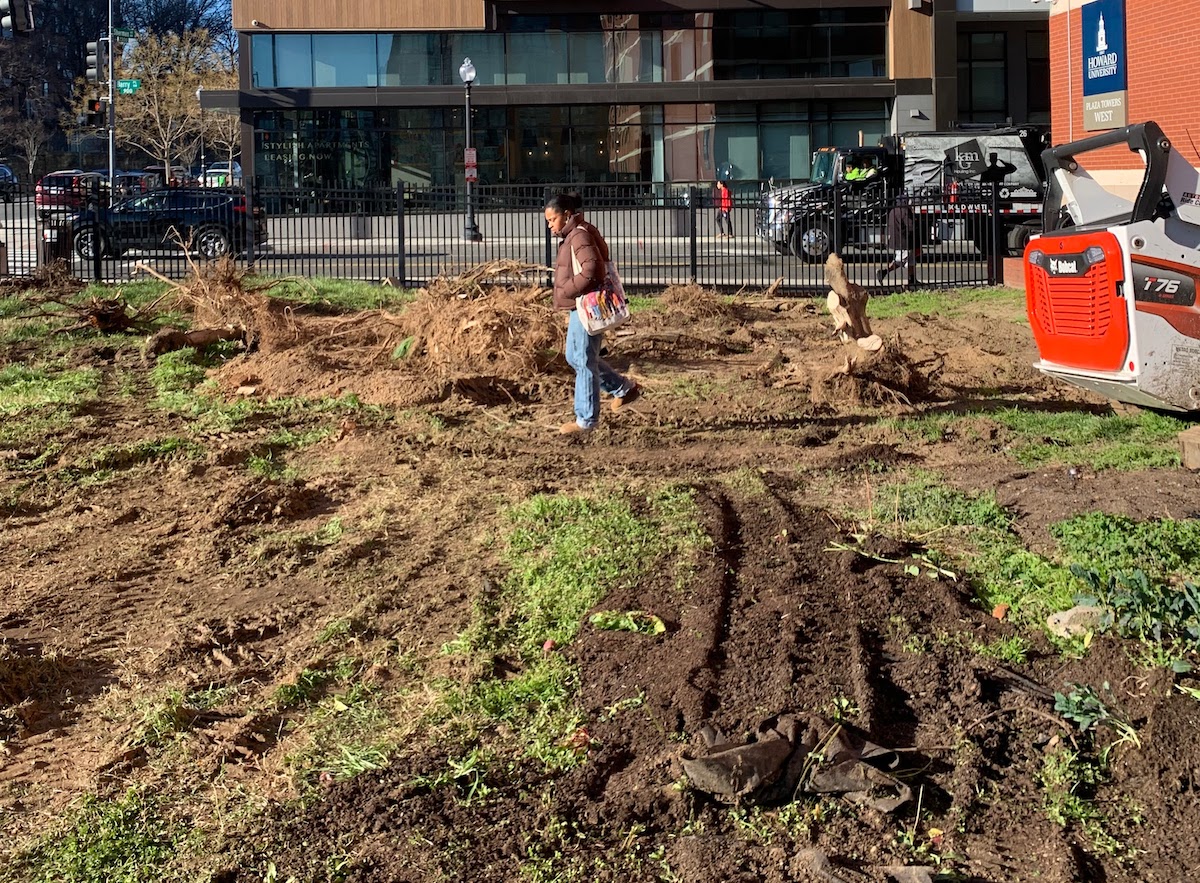The plot of land on Howard’s campus that had been the Halo G.R.E.E.N. Garden for 13 years, shortly after university administration dismantled the garden, removing plant beds and uprooting fruit trees. (Courtesy of Halo G.R.E.E.N. Garden Club)