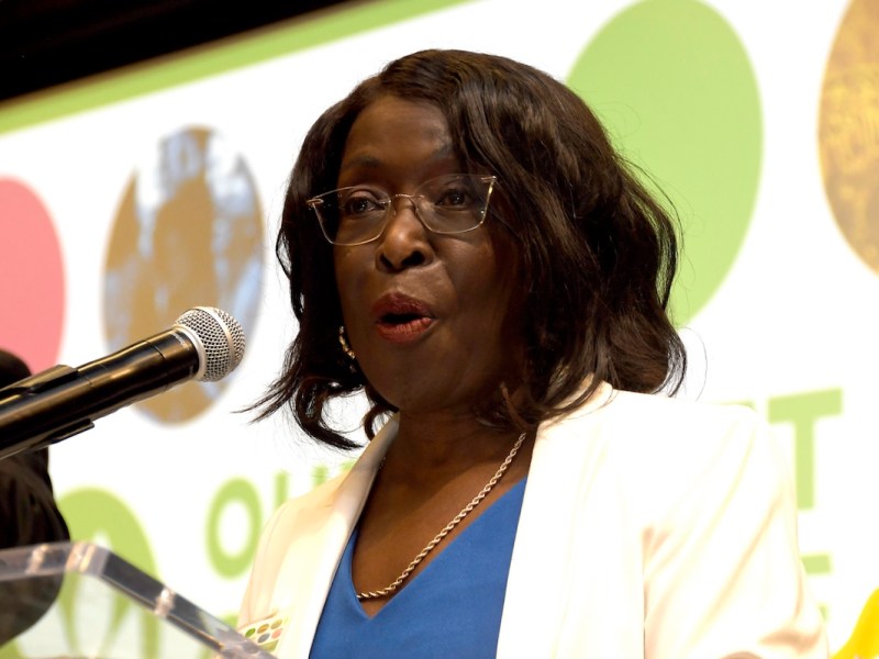 **FILE** Sandra Mattavous-Frye explained that the Utility Disconnection Protection Act could serve as the first step in addressing increasing energy demand and usage. (Robert R. Roberts/The Washington Informer)